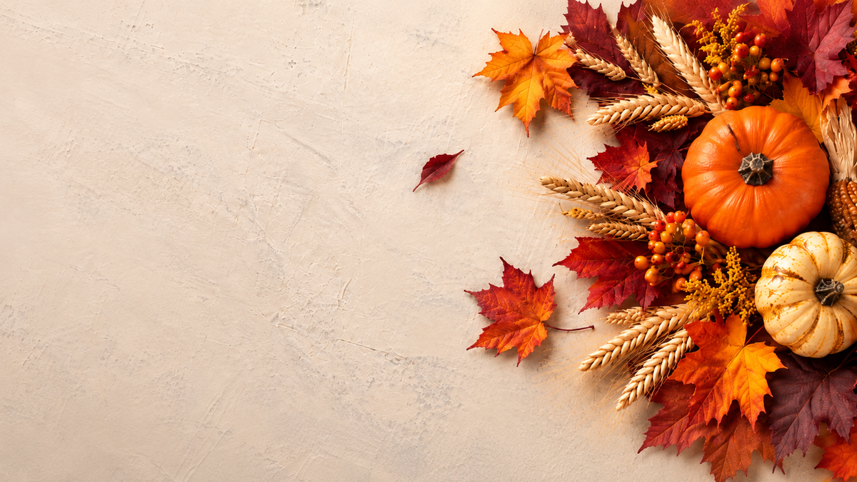 Fall flower background