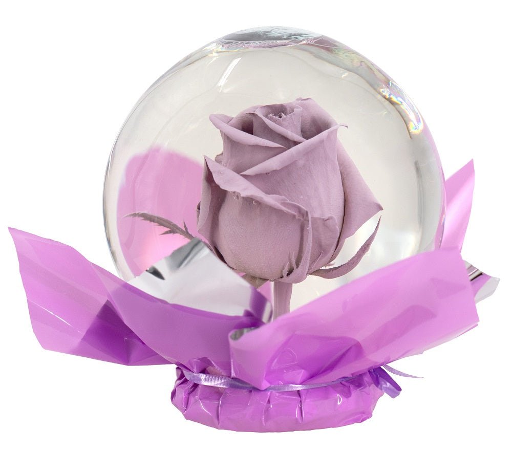 Enchanted Beauty Rose Globe – Kremp Florist, image size:1000x881