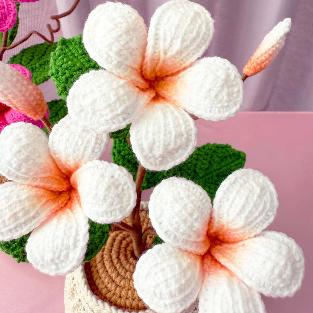 Handmade crochet plumeria blooms