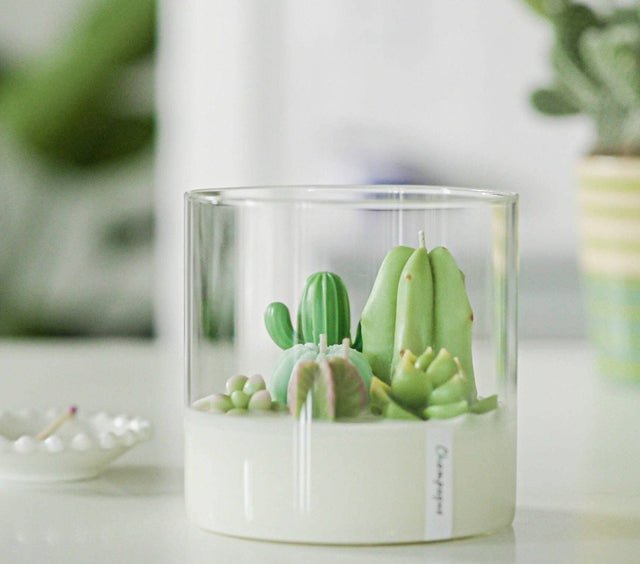 Large 3 wick terrarium candle