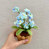 Handmade Crochet Blue Forget Me Not Flower Pot