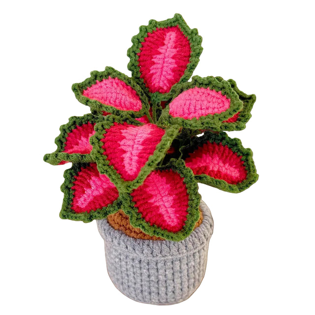 Handmade crochet coleus plant