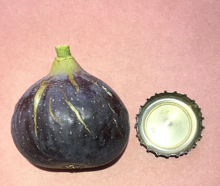 Black Tuscan Fig Whole Fruit