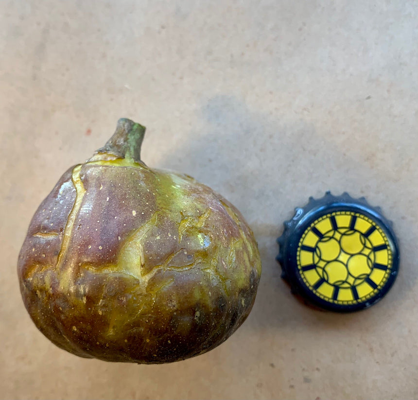 Black Zadar Fig Whole Fruit