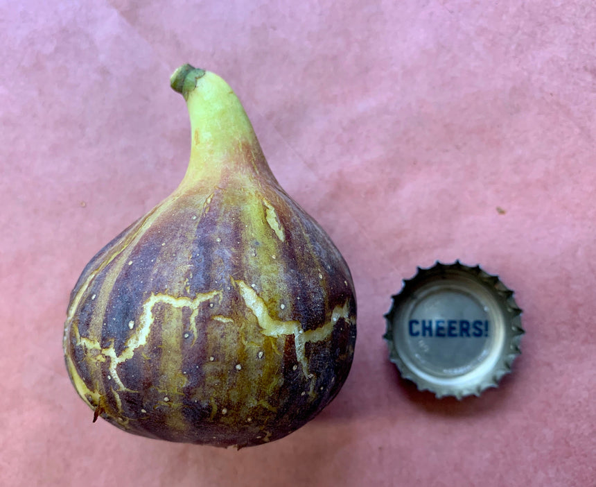 Bordissot Blanca Negra Fig Whole Fruit