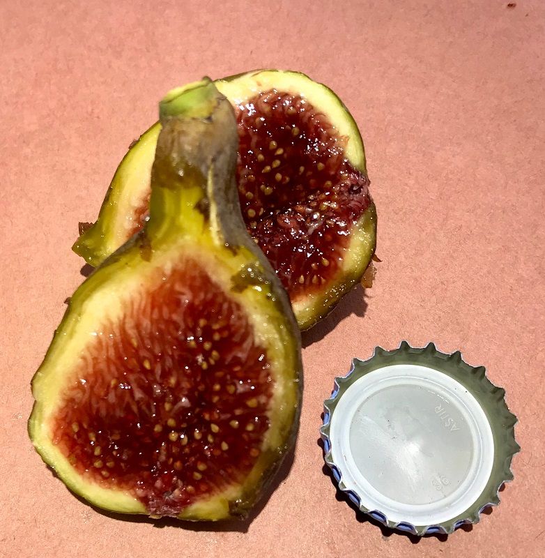 Col de Dame Grise Cross Section