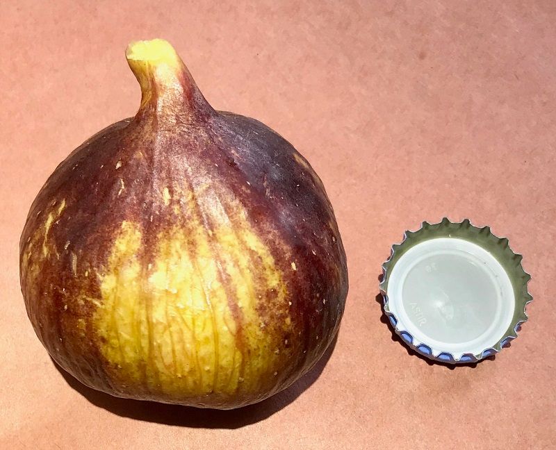 Calderona Fig Whole Fruit