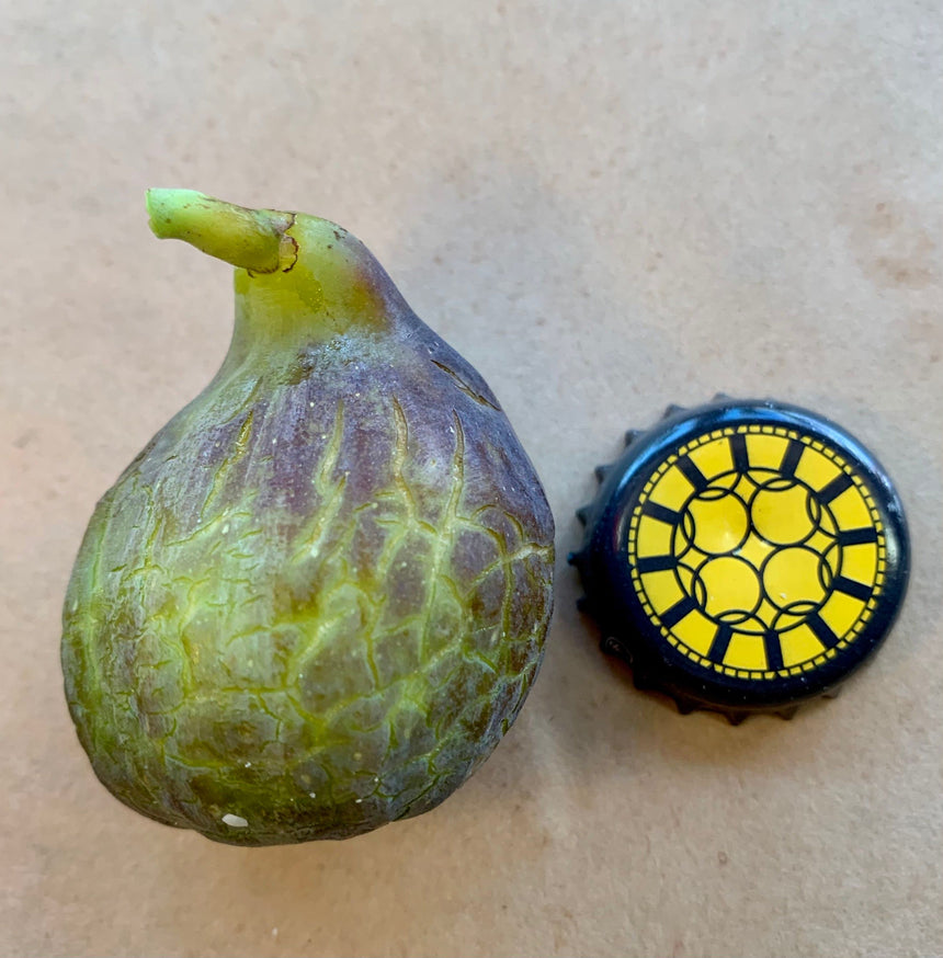 Cessac Fig Whole Fruit