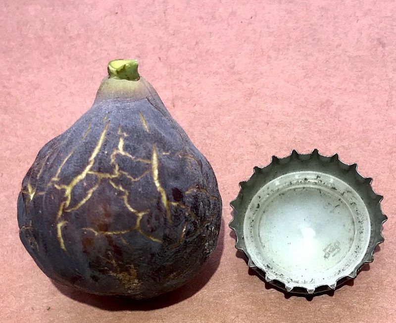 Cilegia Dolce Fig Whole Fruit