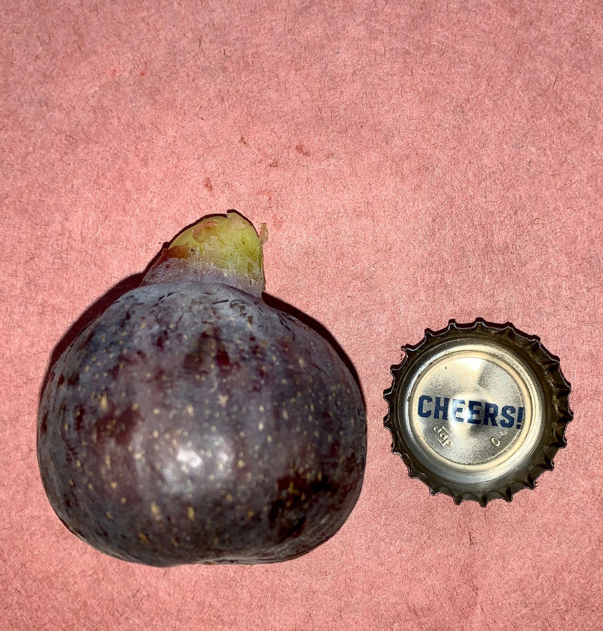 Cravens Craving Fig Whole Fruit