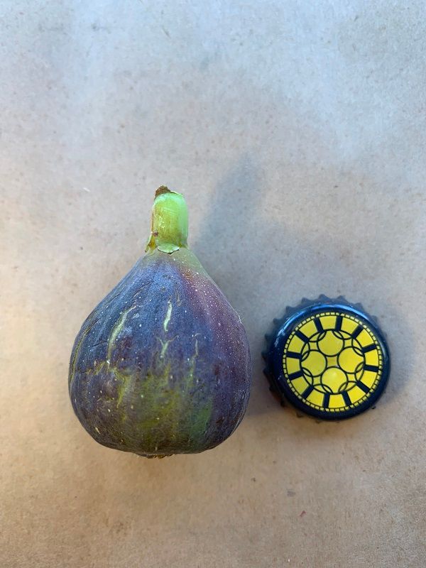 De La Roca Fig Whole Fruit