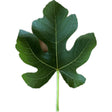 Elga's Austrian Village Fig Leaf