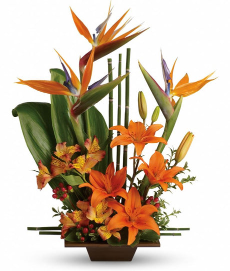 Exotic Grace Tropical Bouquet - Premium