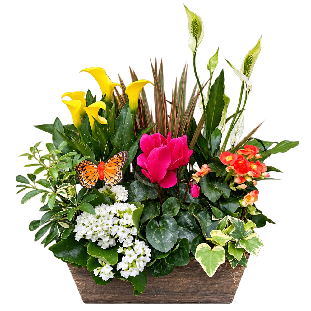 French Garden Planter Exquisite