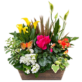 French Garden Planter Exquisite