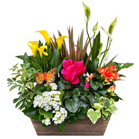 French Garden Planter Exquisite