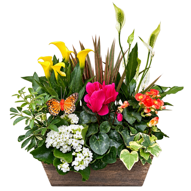 French Garden Planter Exquisite