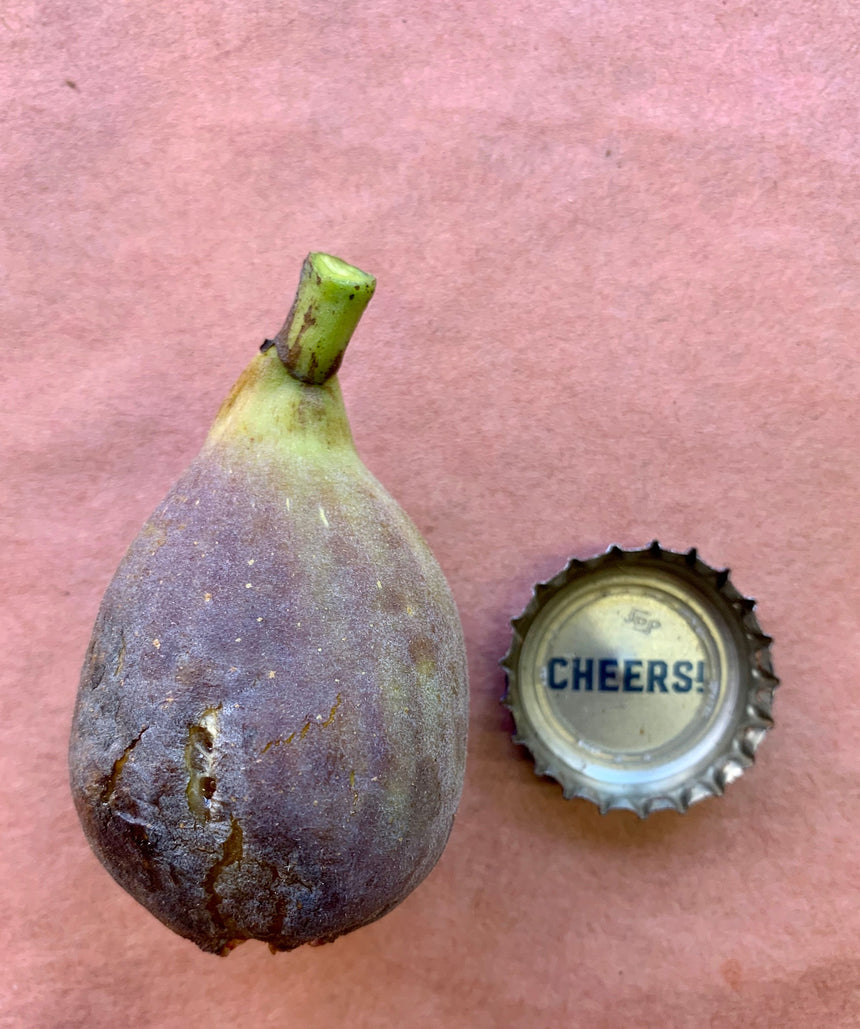 Grise De St Jean Fig Whole Fruit