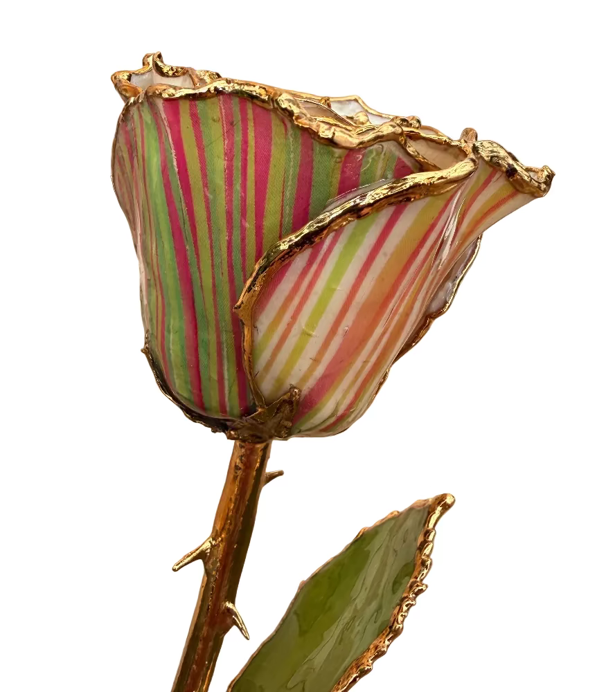 Side of gold dipped wicked striped rose