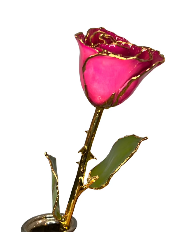 Wicked Pink Gold Dipped Rose