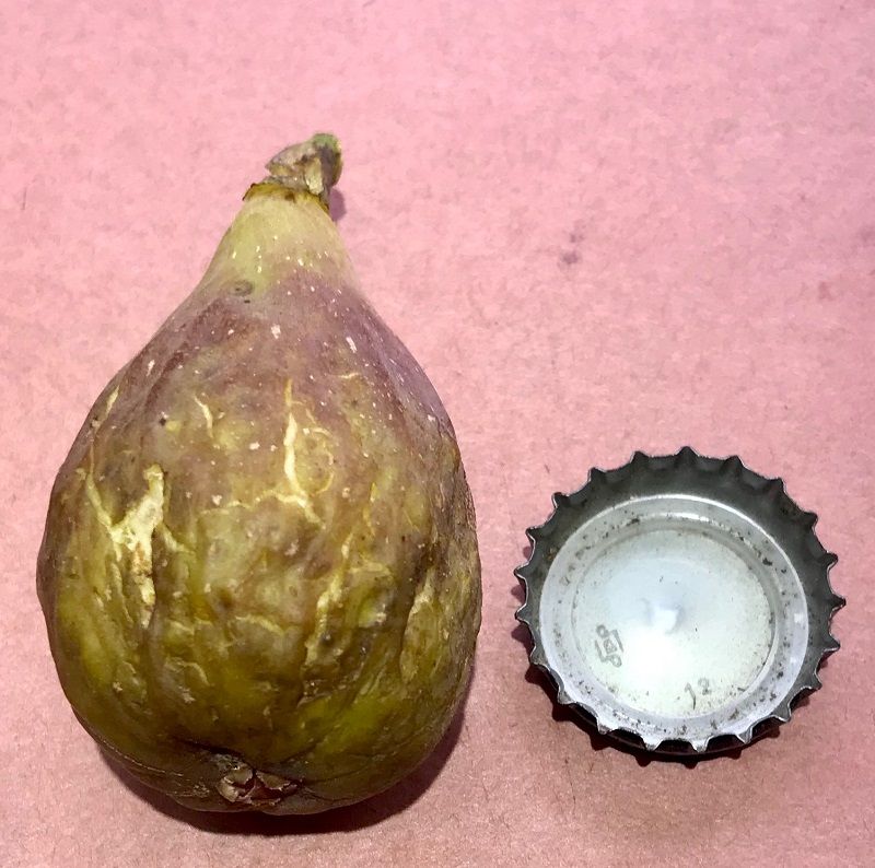 Joan's Juicy Unknown Fig Whole Fruit