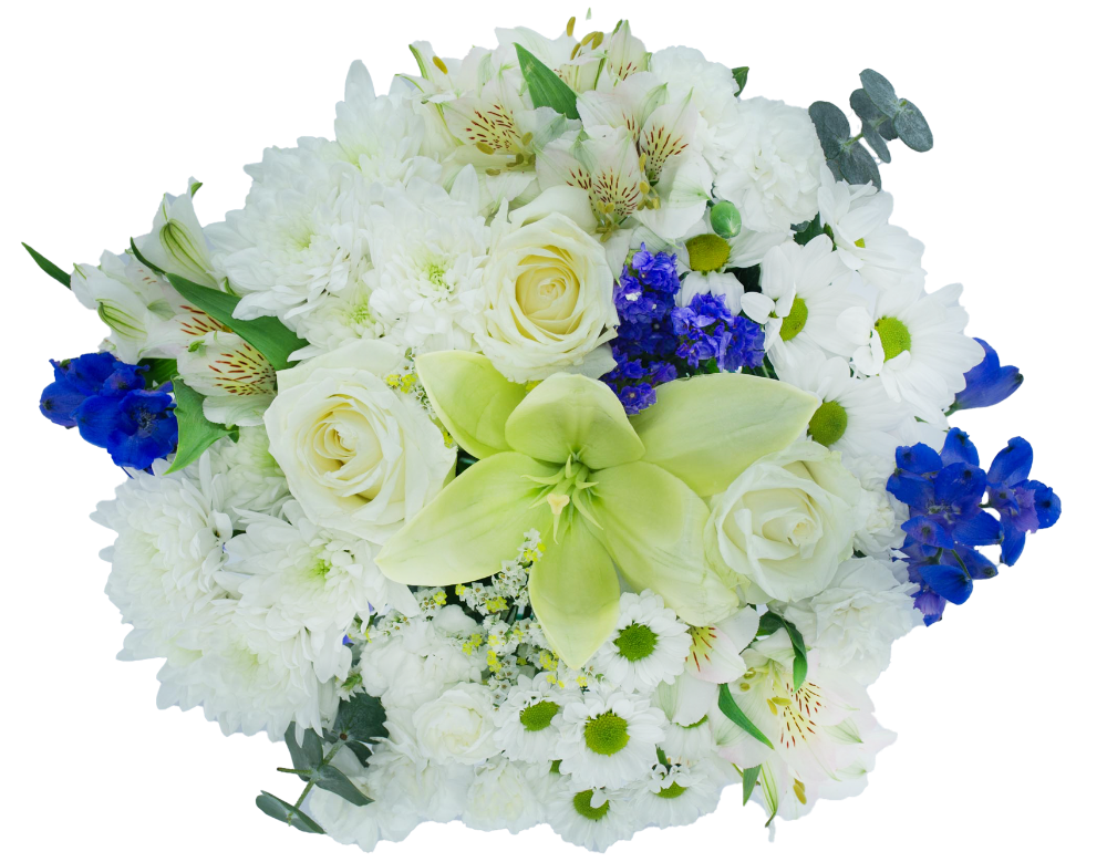 Feel Special Bouquet - Light Up The Night Premier