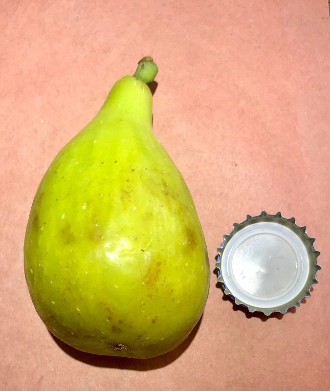 Leon's Montenegro Fig Whole Fruit