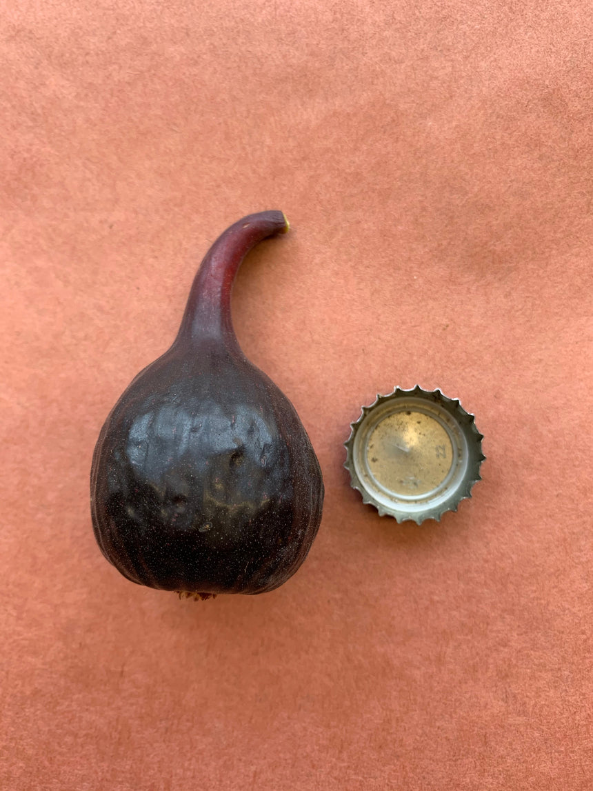 Manresa Fig Whole Fruit