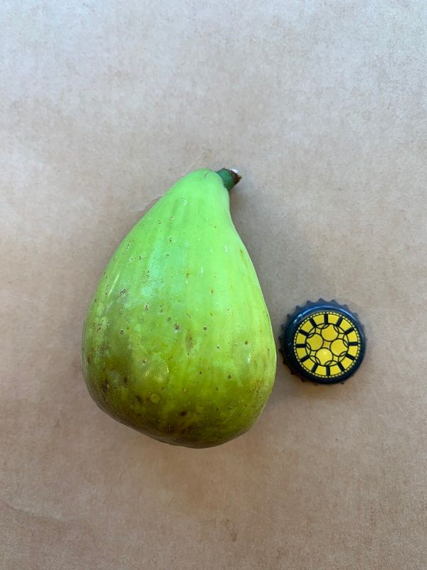 Marot Fig Whole Fruit