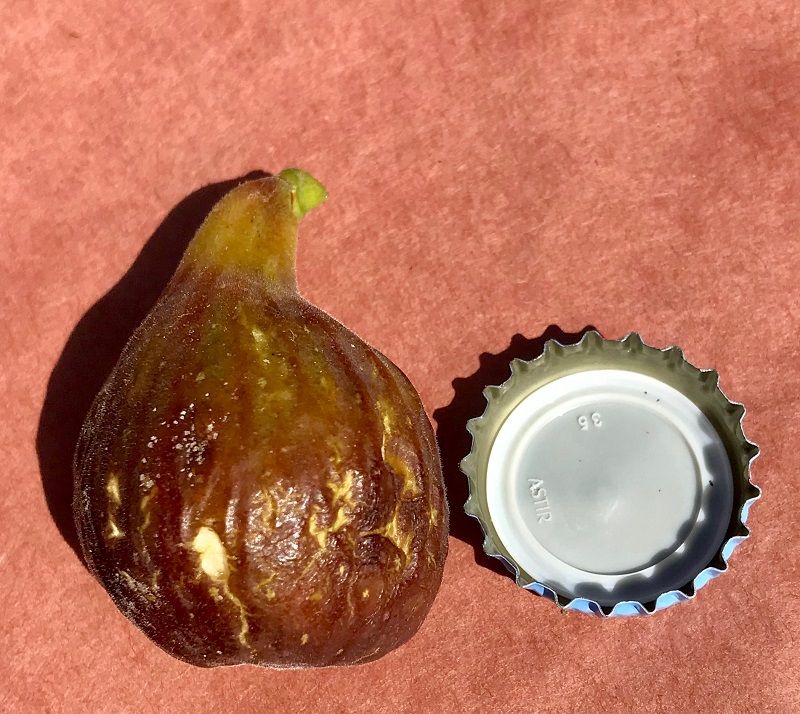 Norella Fig Whole Fruit