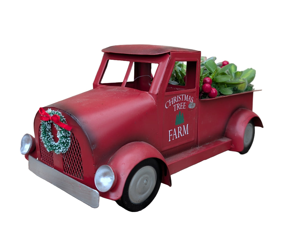 Succulents in red Christmas tree truck planter