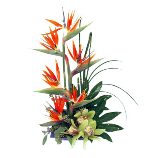 Paradise Blooms – Kremp Florist