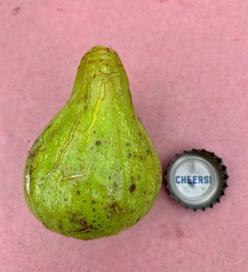 Paradiso Bronze Fig Whole Fruit