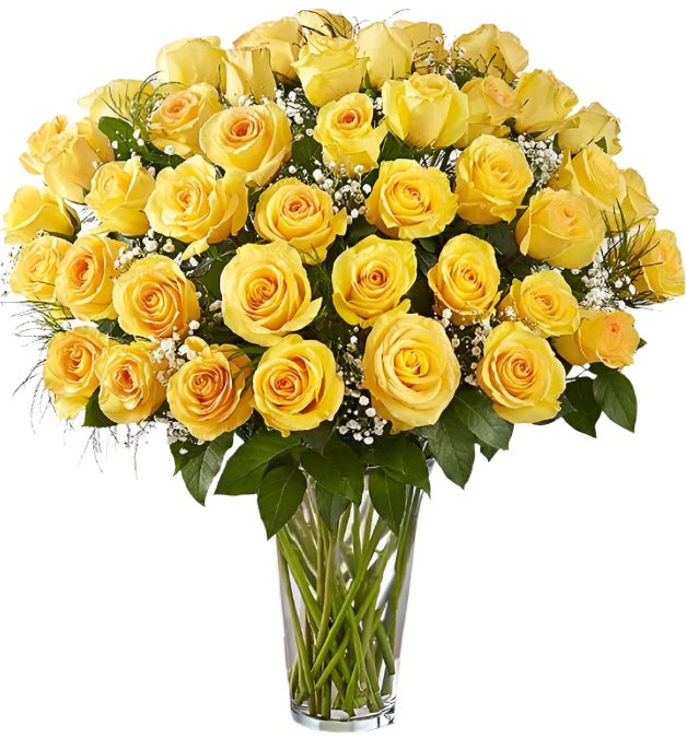 Premium Yellow Roses Arranged with Filler | Kremp Florist Roses