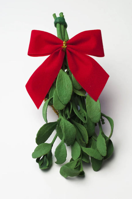Real Mistletoe For Sale