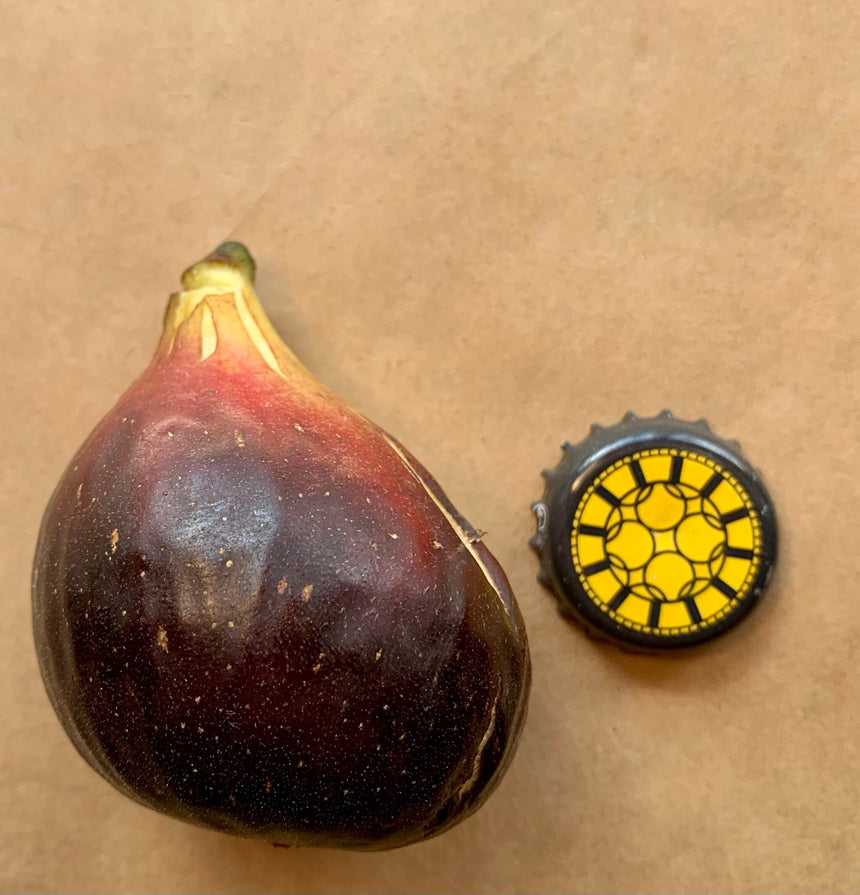 Red Israel Fig Whole Fruit