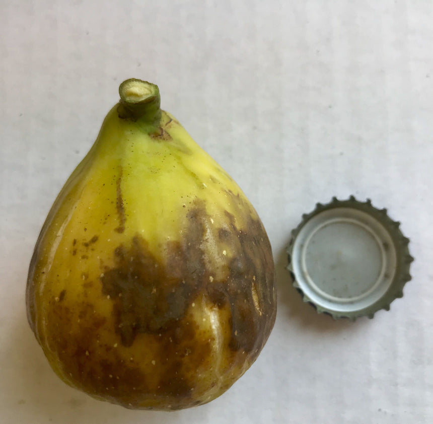 Sefrawi Fig Whole Fruit