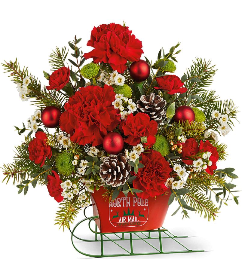Teleflora North Pole Sleigh Bouquet - Standard