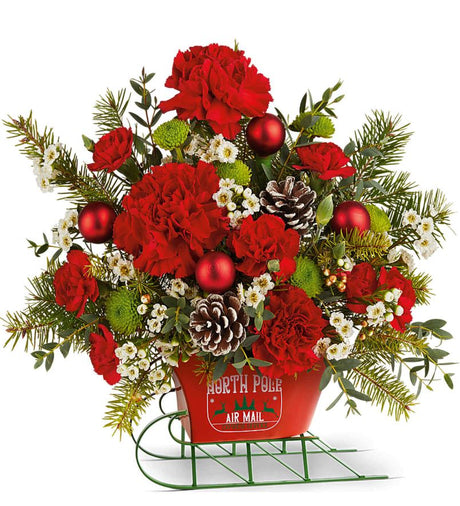 Teleflora North Pole Sleigh Bouquet - Standard