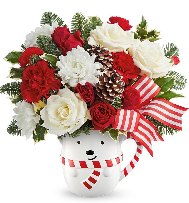 Teleflora Send a Hug Cozy Cub - Deluxe