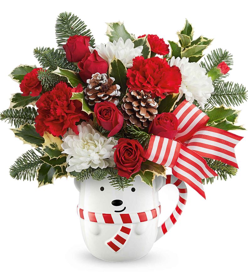 Teleflora Send a Hug Cozy Cub - Standard