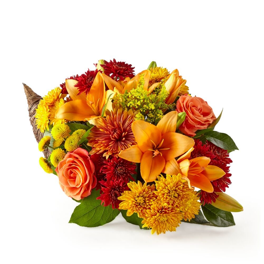 Feast of Color Cornucopia - Deluxe