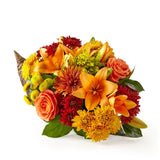 Feast of Color Cornucopia - Deluxe