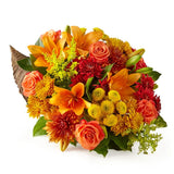 Feast of Color Cornucopia - Premium