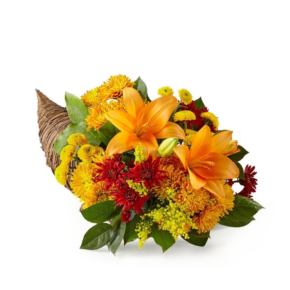 Feast of Color Cornucopia - Standard