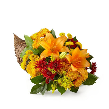 Feast of Color Cornucopia - Standard