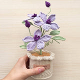 Hold the crochet clematis flower pot