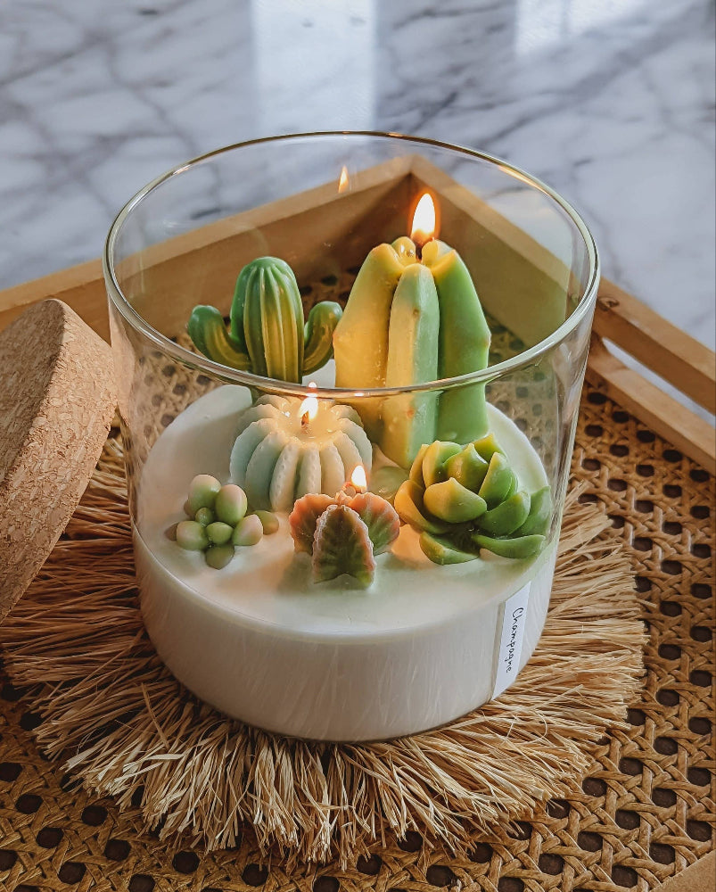 Lit cactus candle in glass cylinder