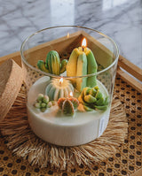 Lit cactus candle in glass cylinder