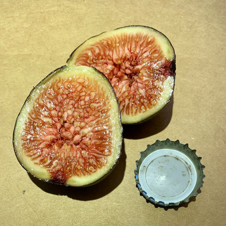 Albacor Molla Blanca Fig Fruit